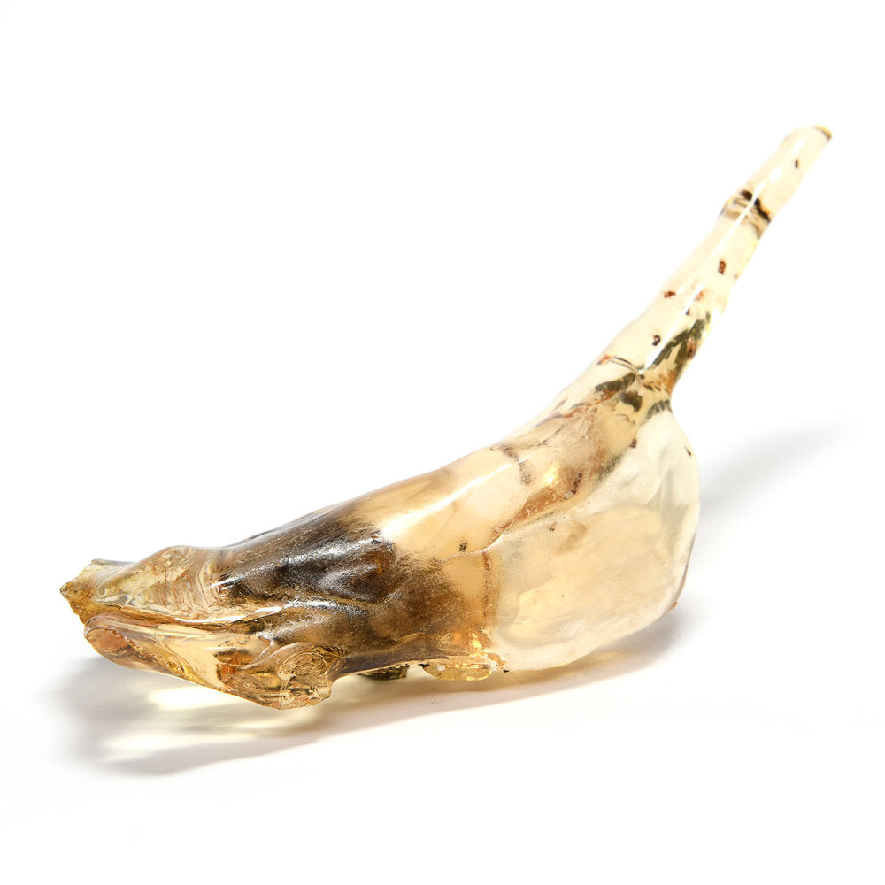 珍品] 虫入りコパル 原石 65x110x23mm #QK115 – premium stone