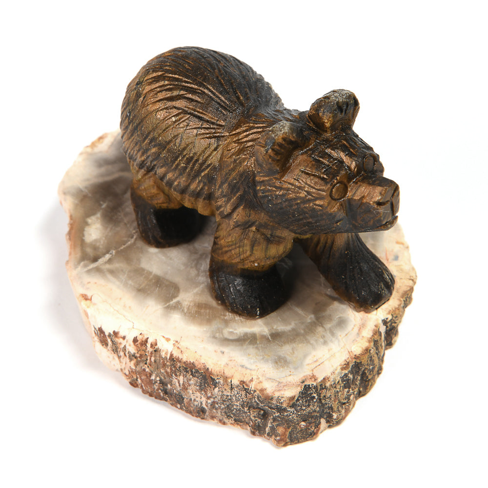 タイガーアイ「クマ」彫刻置物(木彫り風仕上げ・珪化木台座付)51x24x39mm #RB142
