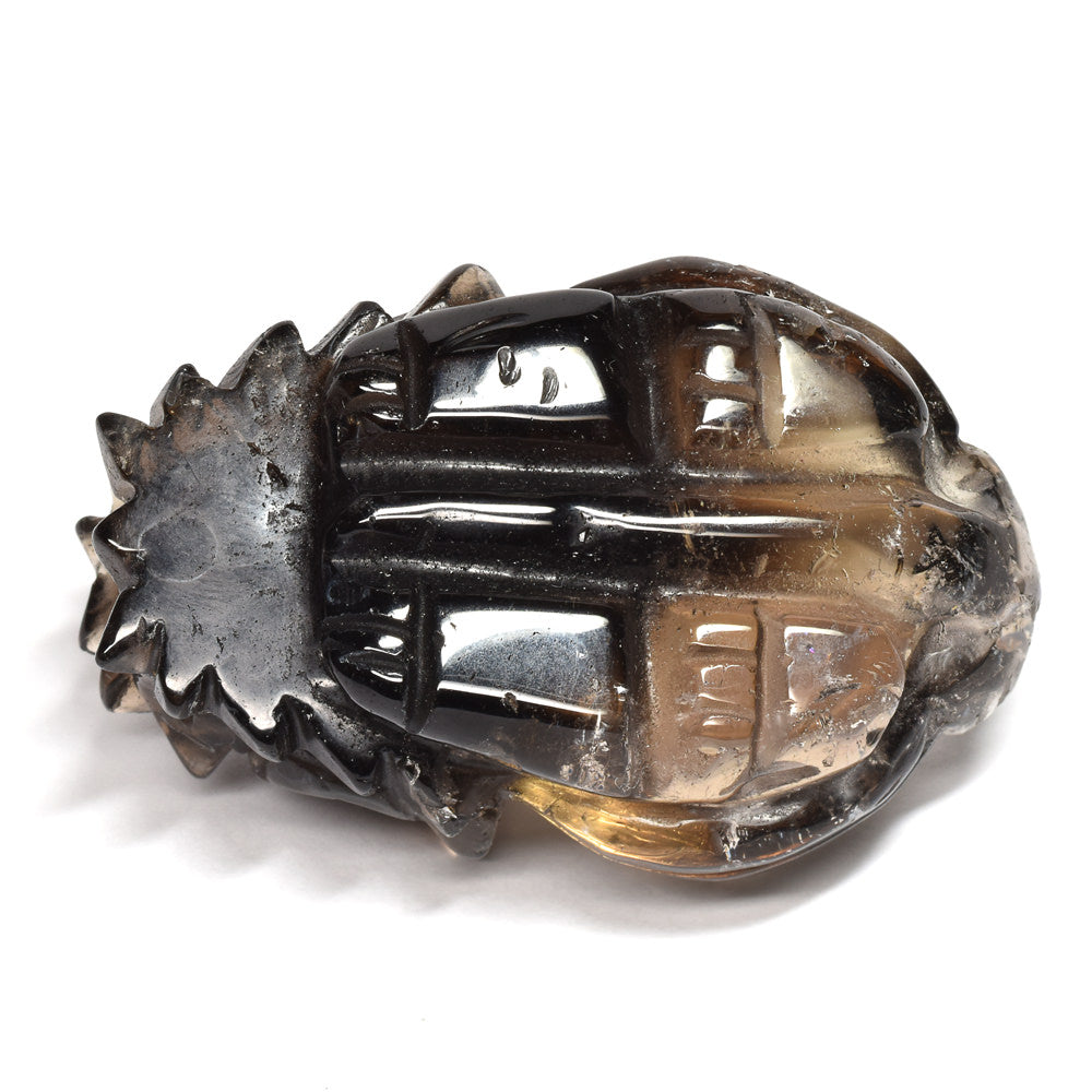スモーキークォーツ 龍亀 彫刻置物 55x36x26mm #RD264
