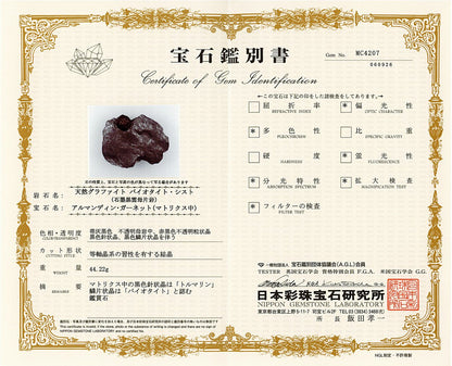 [鑑別付]アメリカ・レッドエンバーズ鉱山産ガーネットオングラファイト 原石 60.7x44.3x12.6mm #SE299