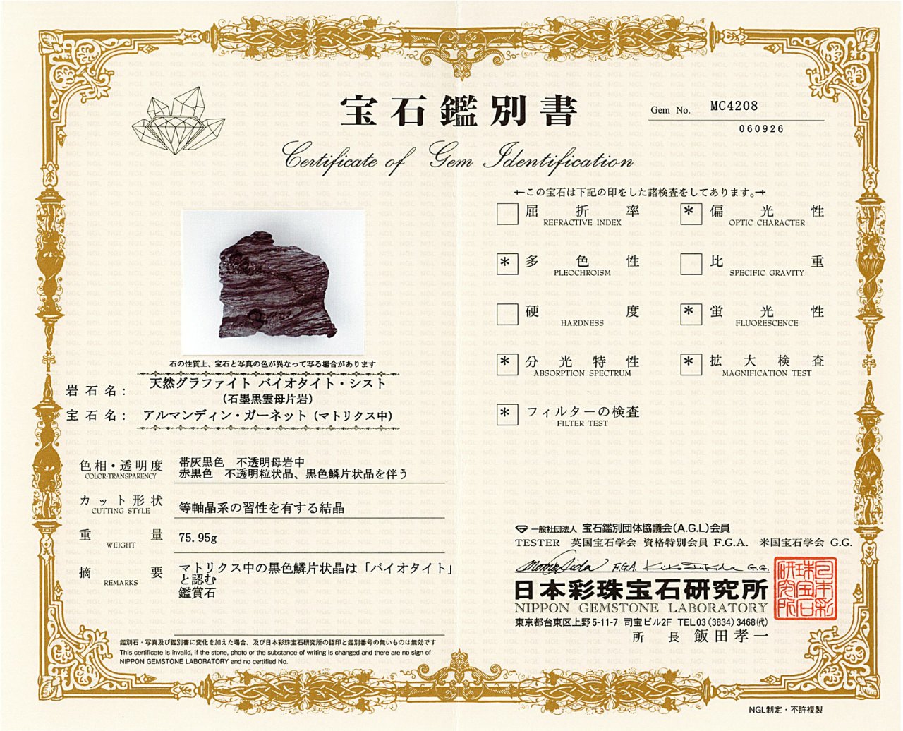[鑑別付]アメリカ・レッドエンバーズ鉱山産ガーネットオングラファイト 原石 74x70.9x15.9mm #SE296