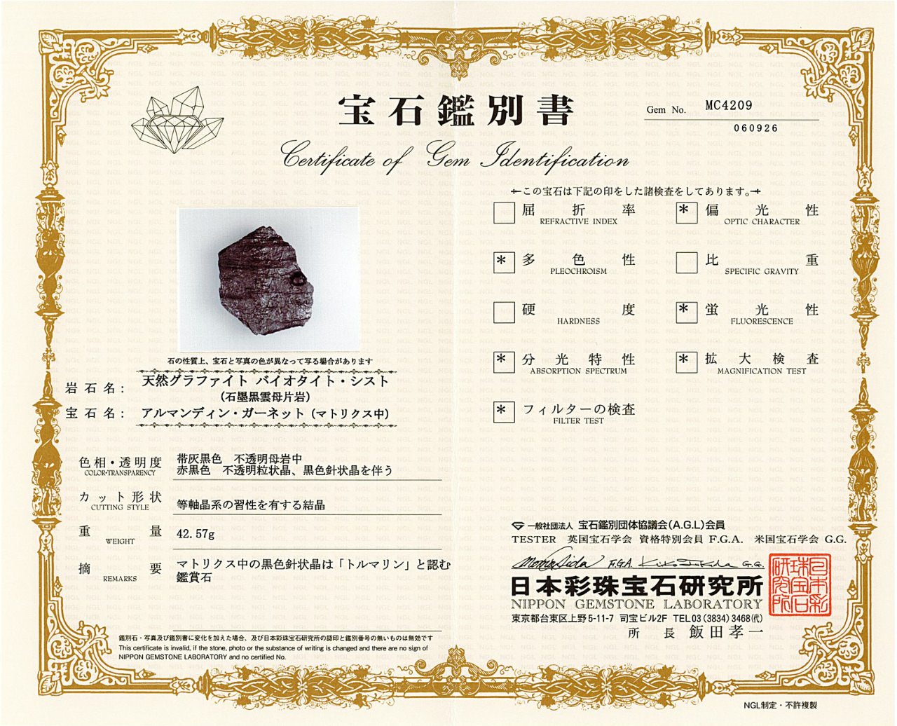 [鑑別付]アメリカ・レッドエンバーズ鉱山産ガーネットオングラファイト 原石 68.7x59x8.2mm #SE298