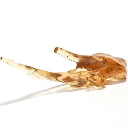 [珍品] 虫入りコパル 原石 47x158x48mm #QK114