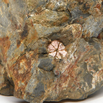 桜石 原石 59.1x57.6x60.2mm 京都府丸亀市産 #QK118