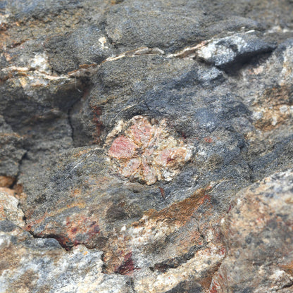 桜石 原石 59.1x57.6x60.2mm 京都府丸亀市産 #QK118