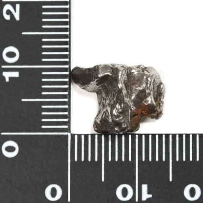 カンポ・デル・シエロ隕石 原石 10.4x13.6x6.8mm #QK310