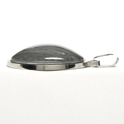 アルタイ隕石  ペンダントトップ 38x28x7.5mm #RC004