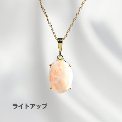 トムソナイト ペンダントトップ 28x12.5x10.5mm #RE057