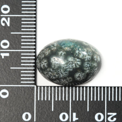 青森県産 津軽錦石 ルース 12.56ct #RH110