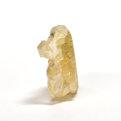 水晶クラスター リス 彫刻置物 38.8x51.2x13.8mm #RJ166