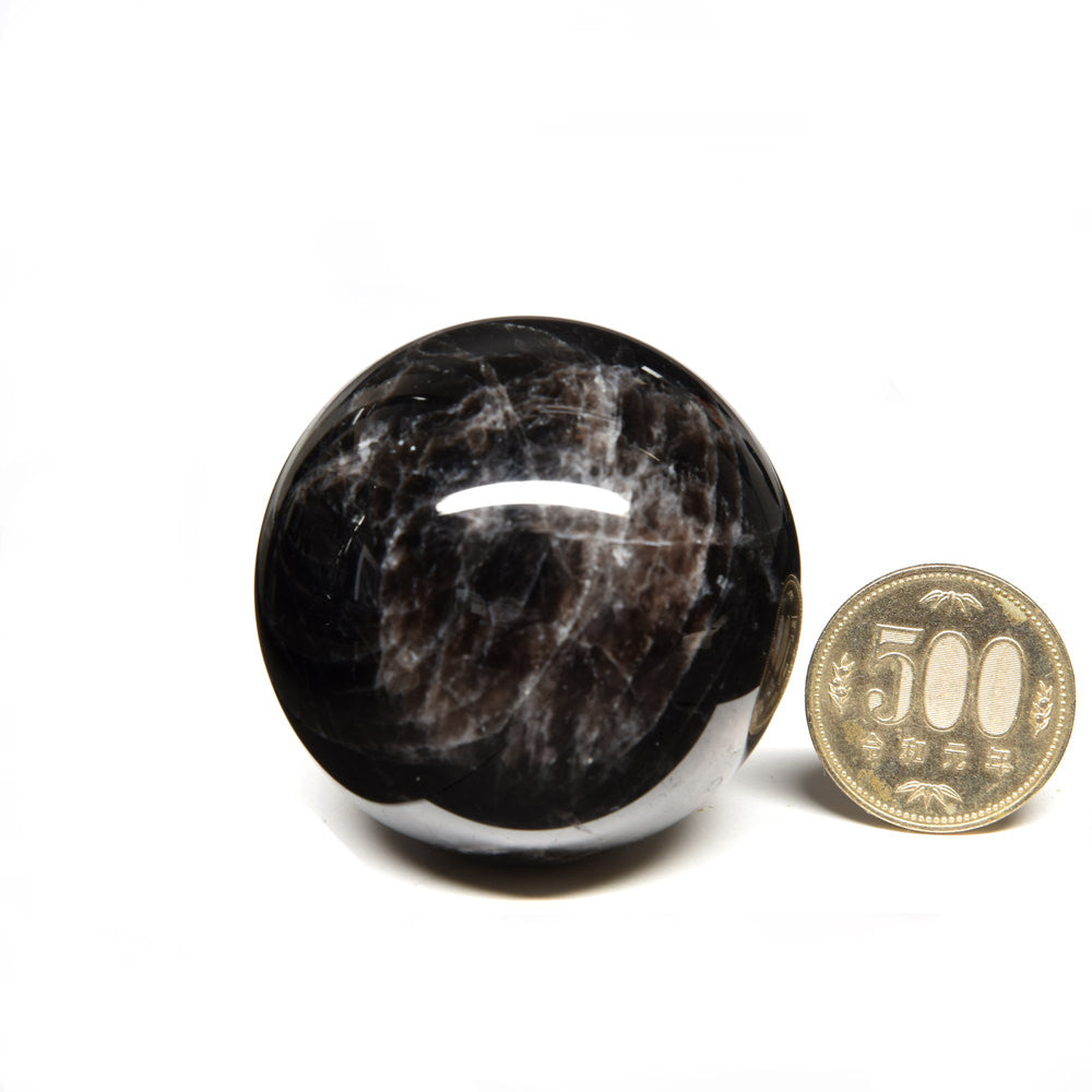 [鑑別付]モリオン 丸玉 52.2mm #RJ232