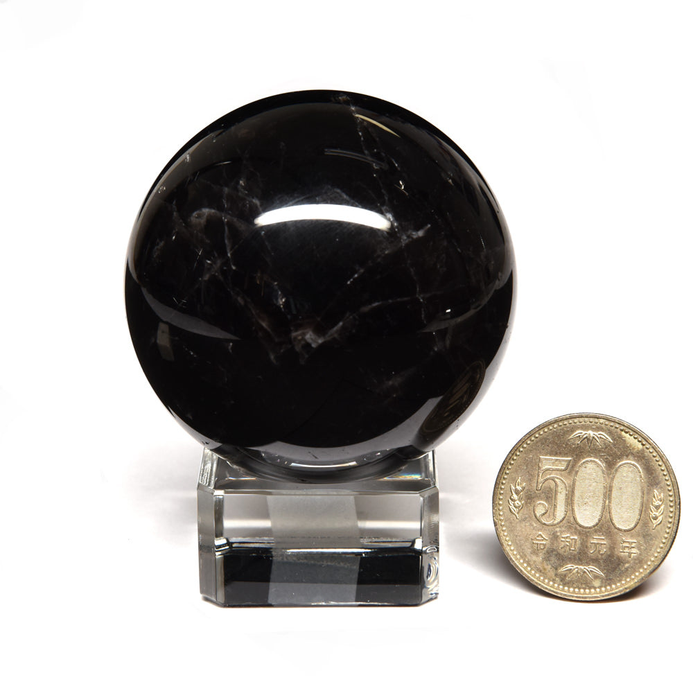 [鑑別付]チベット産スターモリオン 丸玉 55.5mm #RL054