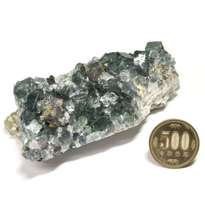 ナイジェリア産パイライトオンフローライト 原石 111x53x37mm #RM052