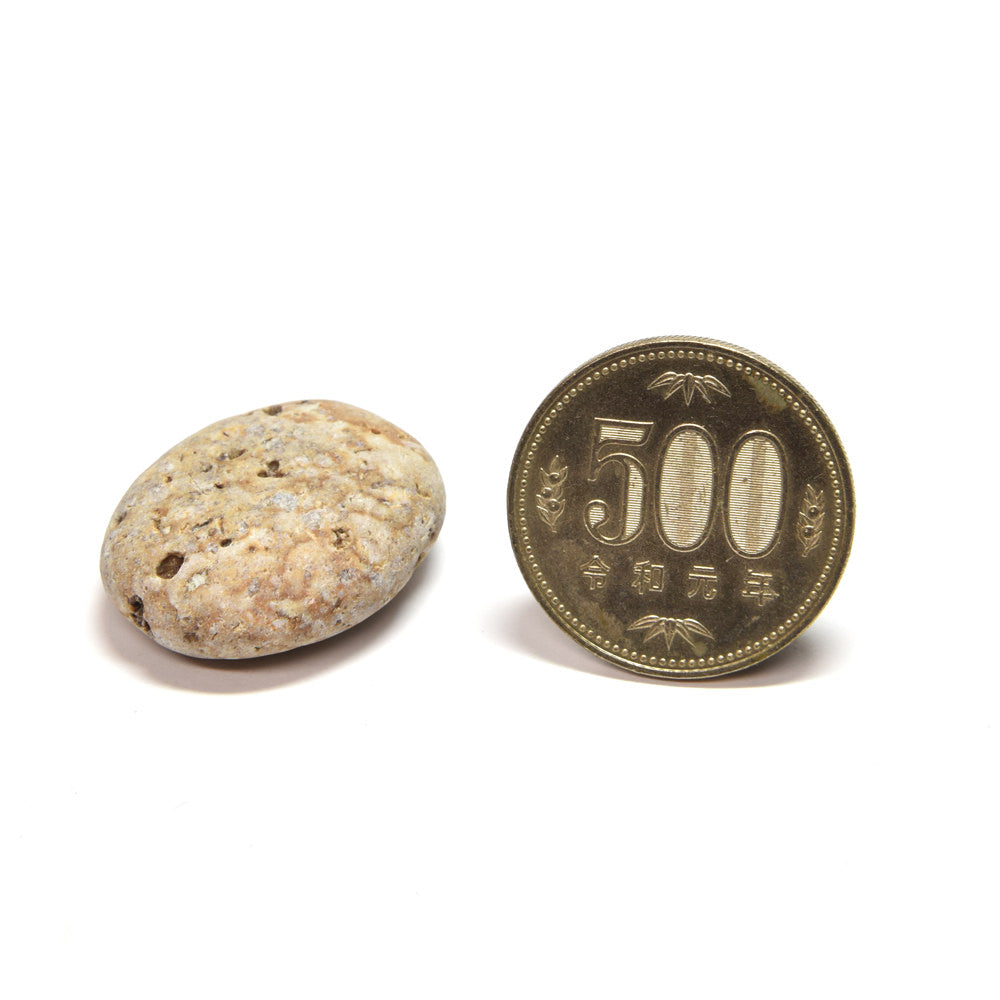 新潟県産姫川薬石 原石 28x23x11mm #SA073