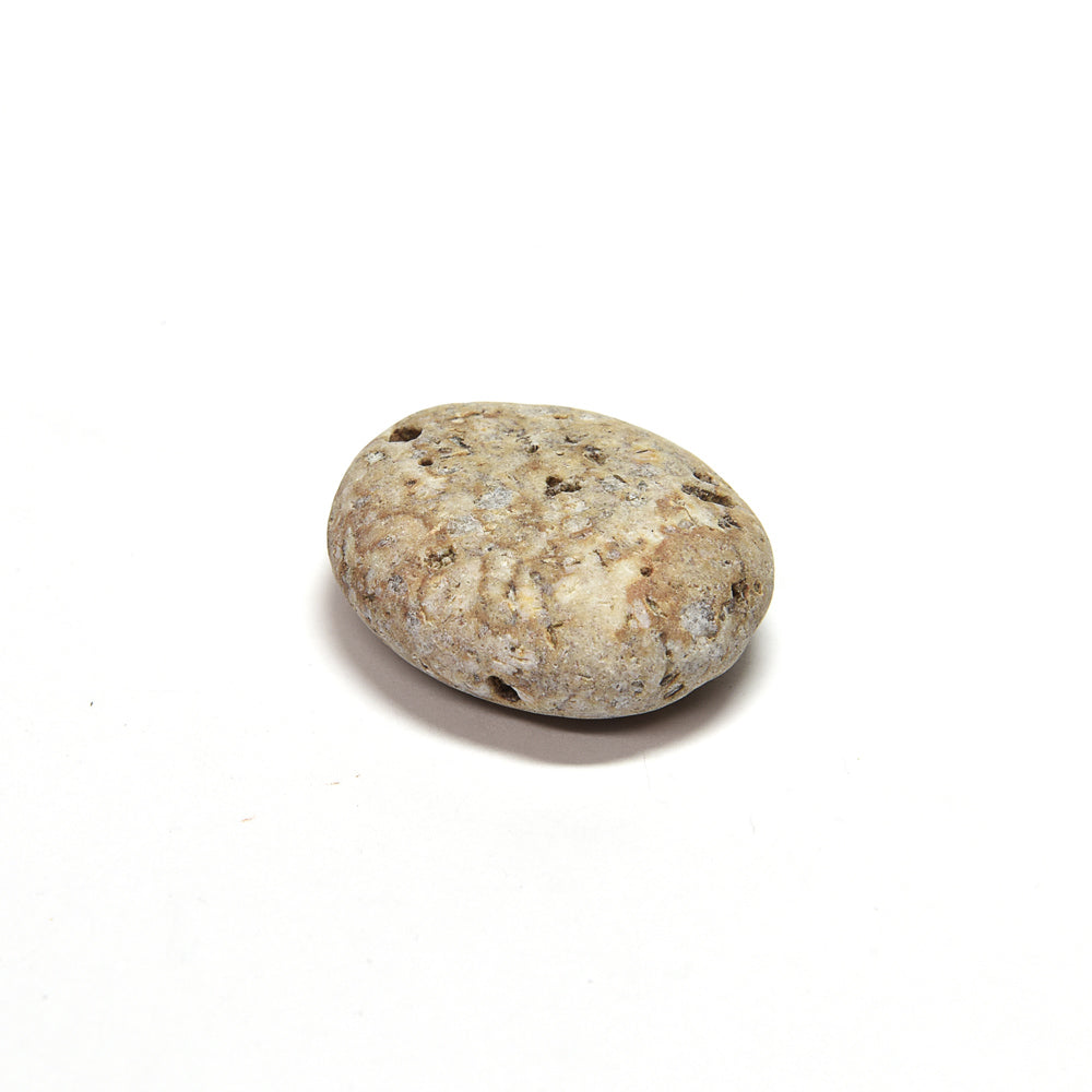 新潟県産姫川薬石 原石 28x23x11mm #SA073
