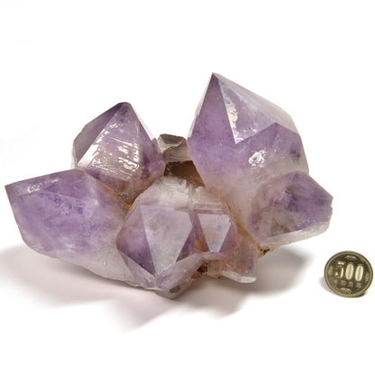 ボリビア産アメジスト クラスター 168x110x105mm #SA088