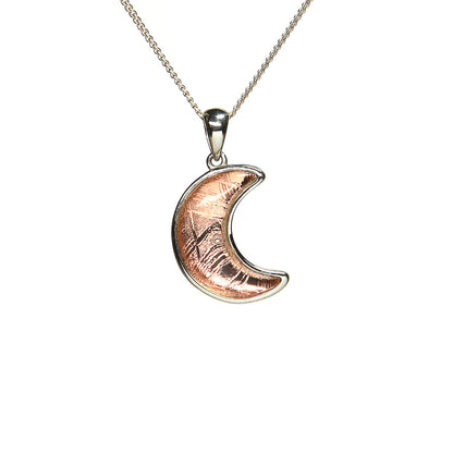 ギベオン隕石 三日月 ペンダントトップ 17x13mm #SA147