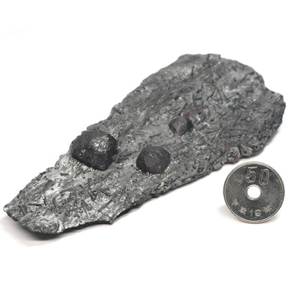 [鑑別付]アメリカ・レッドエンバーズ鉱山産ガーネットオングラファイト 原石 53.1x121x20.3mm #SE297