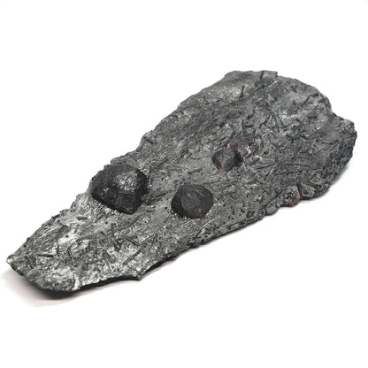 [鑑別付]アメリカ・レッドエンバーズ鉱山産ガーネットオングラファイト 原石 53.1x121x20.3mm #SE297