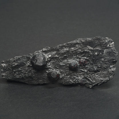 [鑑別付]アメリカ・レッドエンバーズ鉱山産ガーネットオングラファイト 原石 53.1x121x20.3mm #SE297