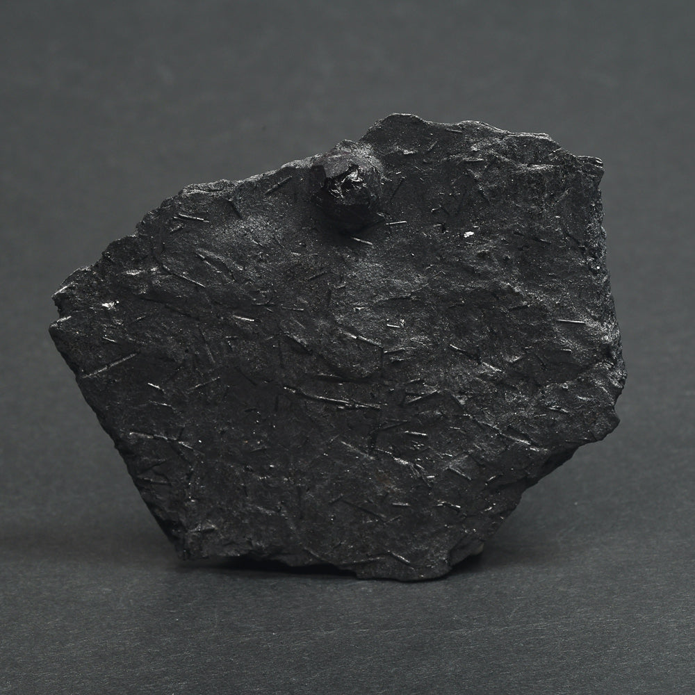 [鑑別付]アメリカ・レッドエンバーズ鉱山産ガーネットオングラファイト 原石 68.7x59x8.2mm #SE298