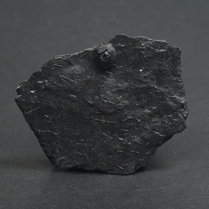 [鑑別付]アメリカ・レッドエンバーズ鉱山産ガーネットオングラファイト 原石 68.7x59x8.2mm #SE298