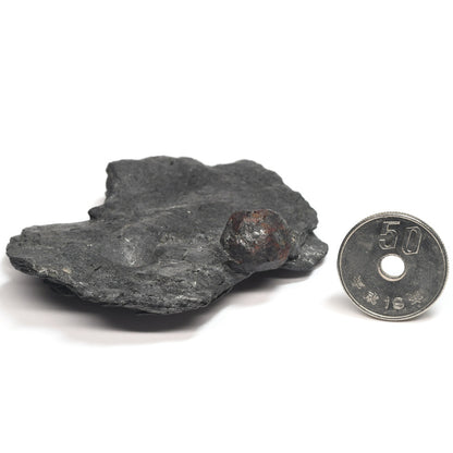 [鑑別付]アメリカ・レッドエンバーズ鉱山産ガーネットオングラファイト 原石 60.7x44.3x12.6mm #SE299