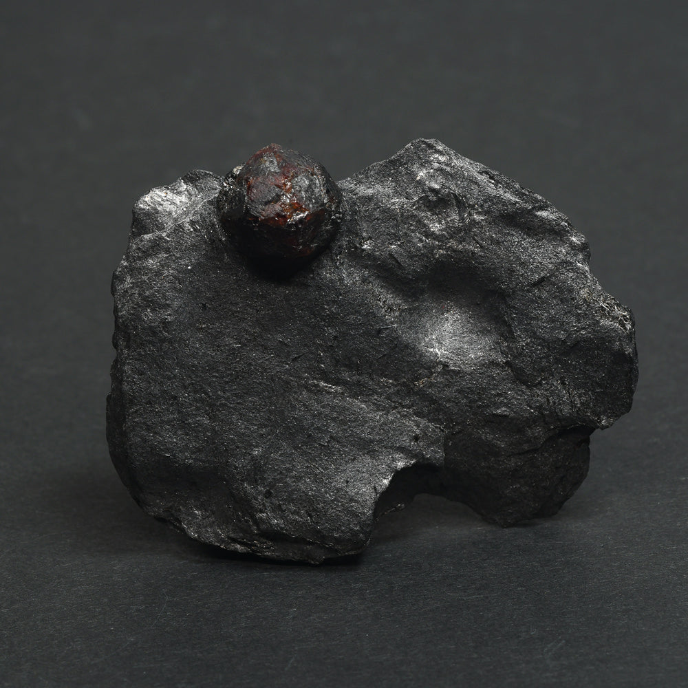 [鑑別付]アメリカ・レッドエンバーズ鉱山産ガーネットオングラファイト 原石 60.7x44.3x12.6mm #SE299