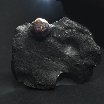 [鑑別付]アメリカ・レッドエンバーズ鉱山産ガーネットオングラファイト 原石 60.7x44.3x12.6mm #SE299