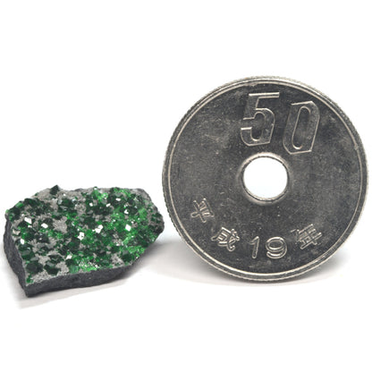 [鑑別付]ロシア・ウラル産ウバロバイトガーネット 原石 16.4x14.7x4.6mm #SE302