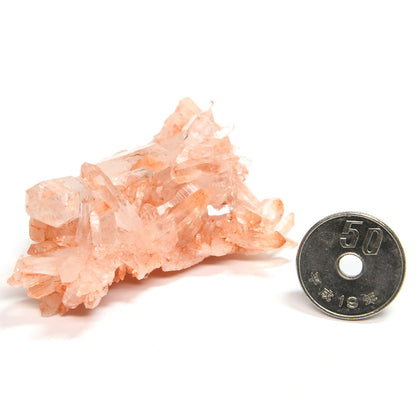 インド・ガルサ渓谷産ヒマラヤ水晶 原石 65.3×40.4×21.6mm #SF150