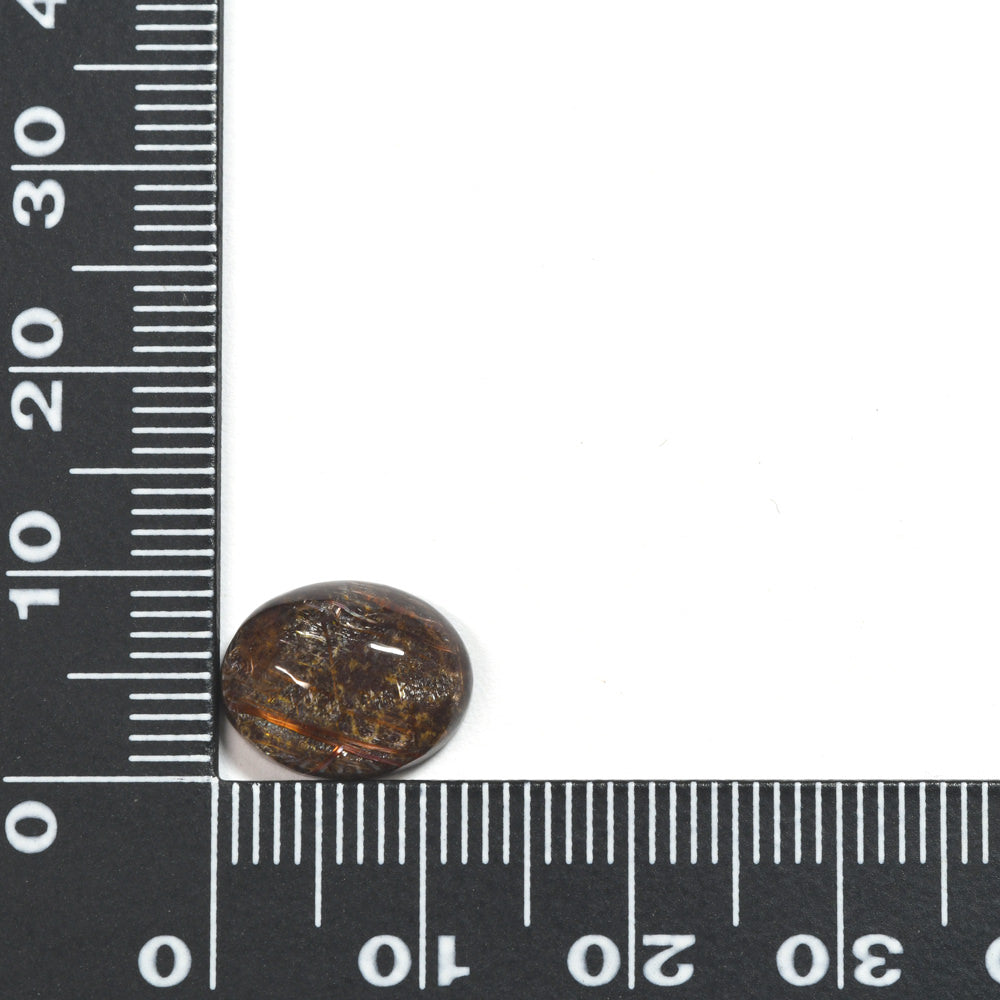 [限定販売] ブラジル産 ルチルクォーツ(スター入り)  ルース 4.41ct #SJ079