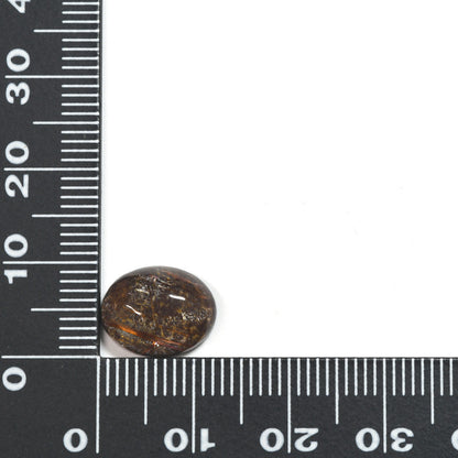 [限定販売] ブラジル産 ルチルクォーツ(スター入り)  ルース 4.41ct #SJ079