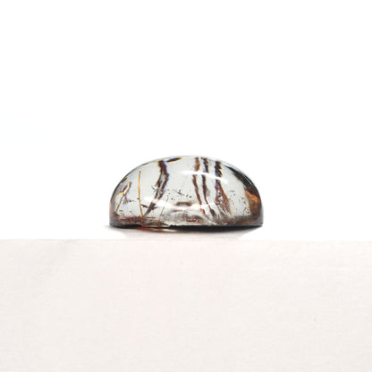 [限定販売] ブラジル産 ルチルクォーツ(スター入り)  ルース 6.59ct #SJ081