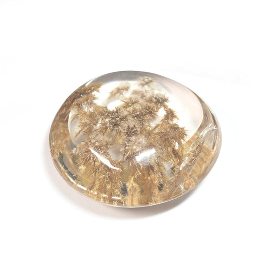 [限定販売] ブラジル産 デンドリティックルチルクォーツ  ルース 25.88ct #SJ101