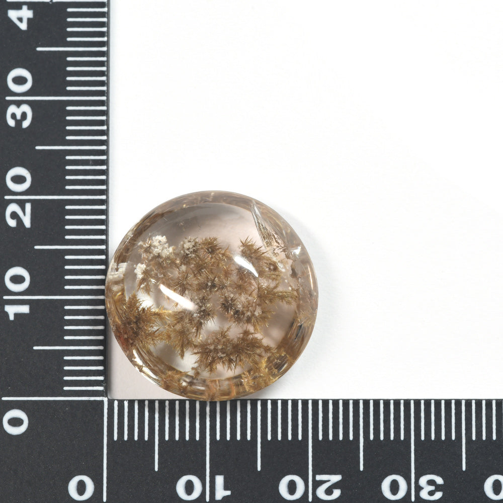 [限定販売] ブラジル産 デンドリティックルチルクォーツ  ルース 25.88ct #SJ101