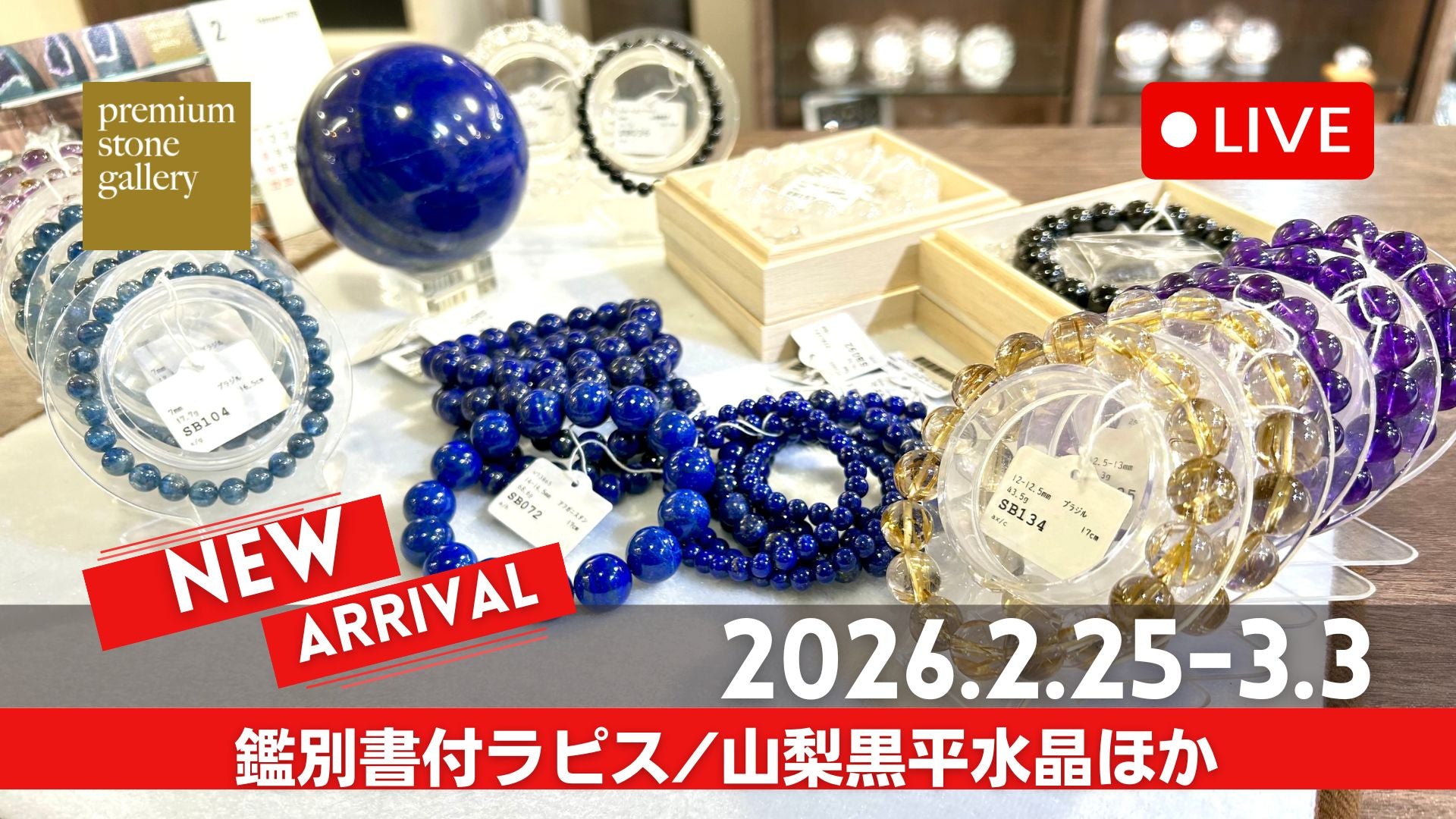 動画を読み込む: 新着先取りライブ 2026/02/24