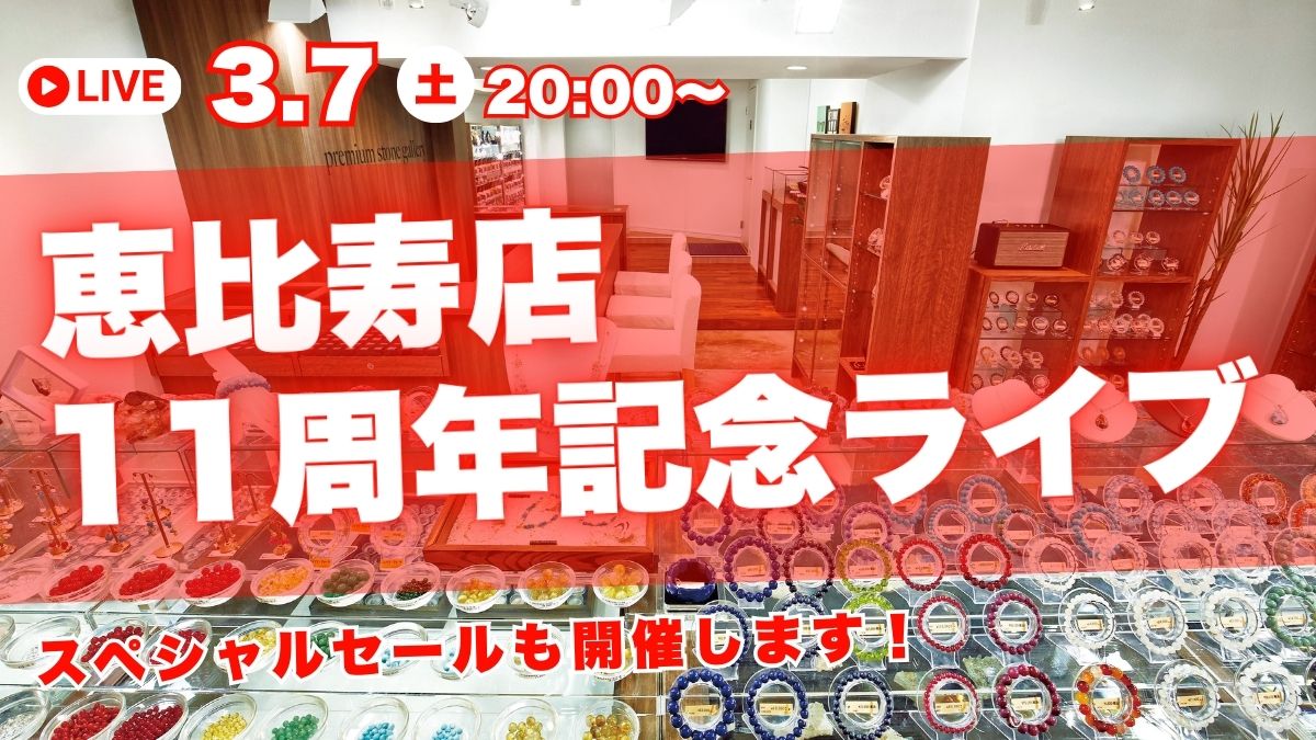 動画を読み込む: 